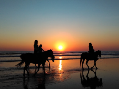 Horse riding in the Camargue - South of France