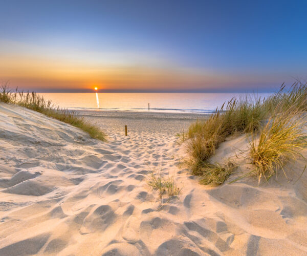 Scenic seaside landscape in Normandy, France, featuring sandy beaches, dramatic coastal cliffs, and the natural beauty of the region’s historic shoreline.