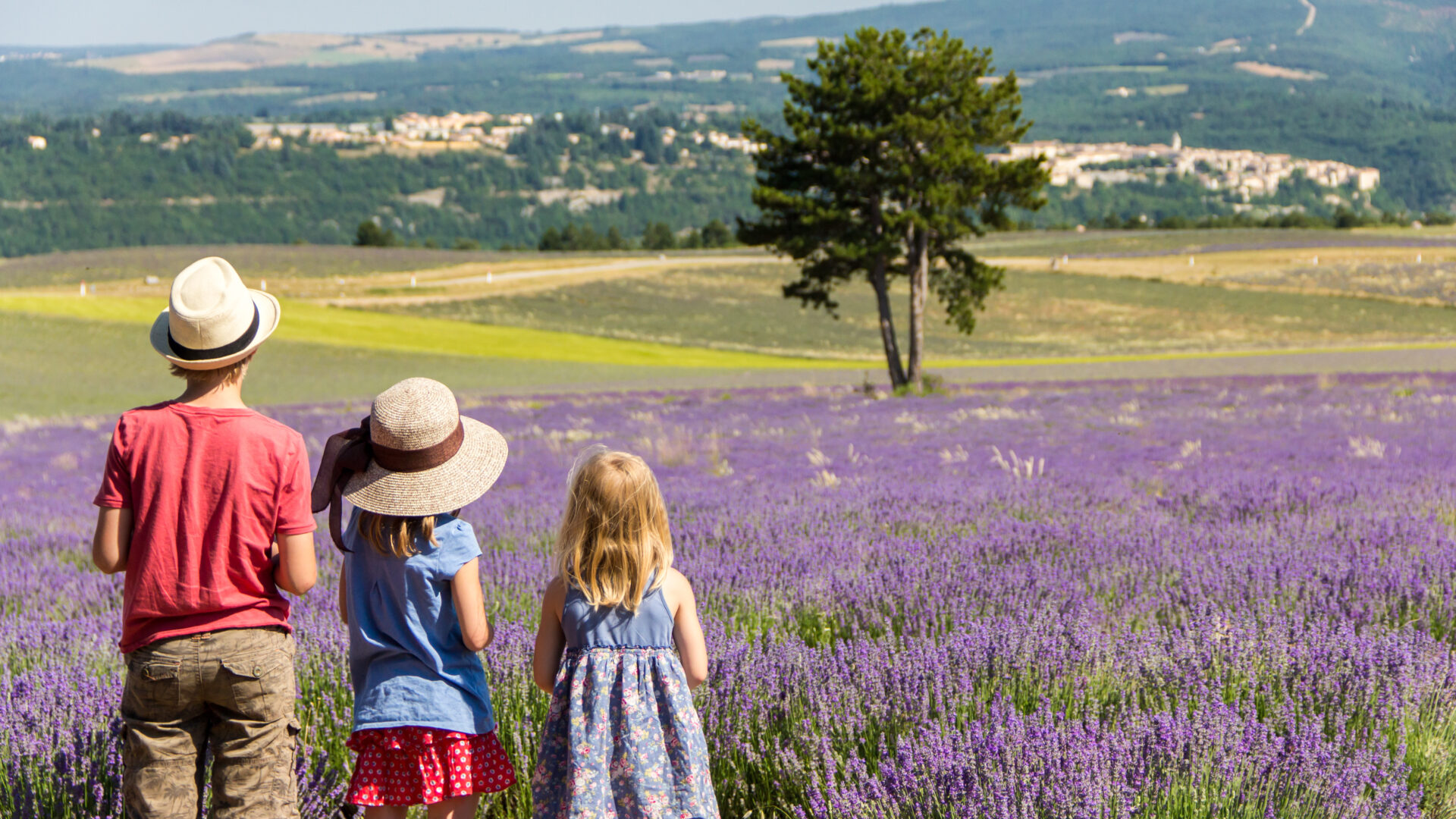 Three children standing in the middle of lavender fields looking at a village in the valley