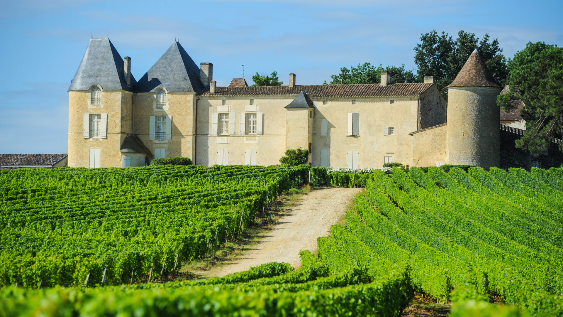 The Chateau d'Yquem and its vineyards in the Bordeaux wine area of Sauterne