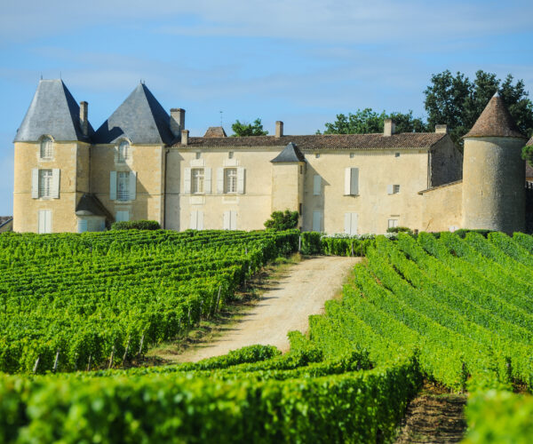 Vineyards in Bordeaux