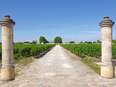 Private wine domain and vineyards in Bordeaux