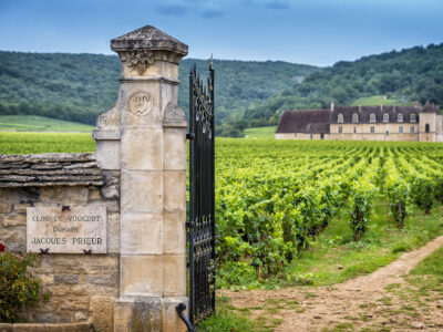 Chateau and vineyard in Burgundy