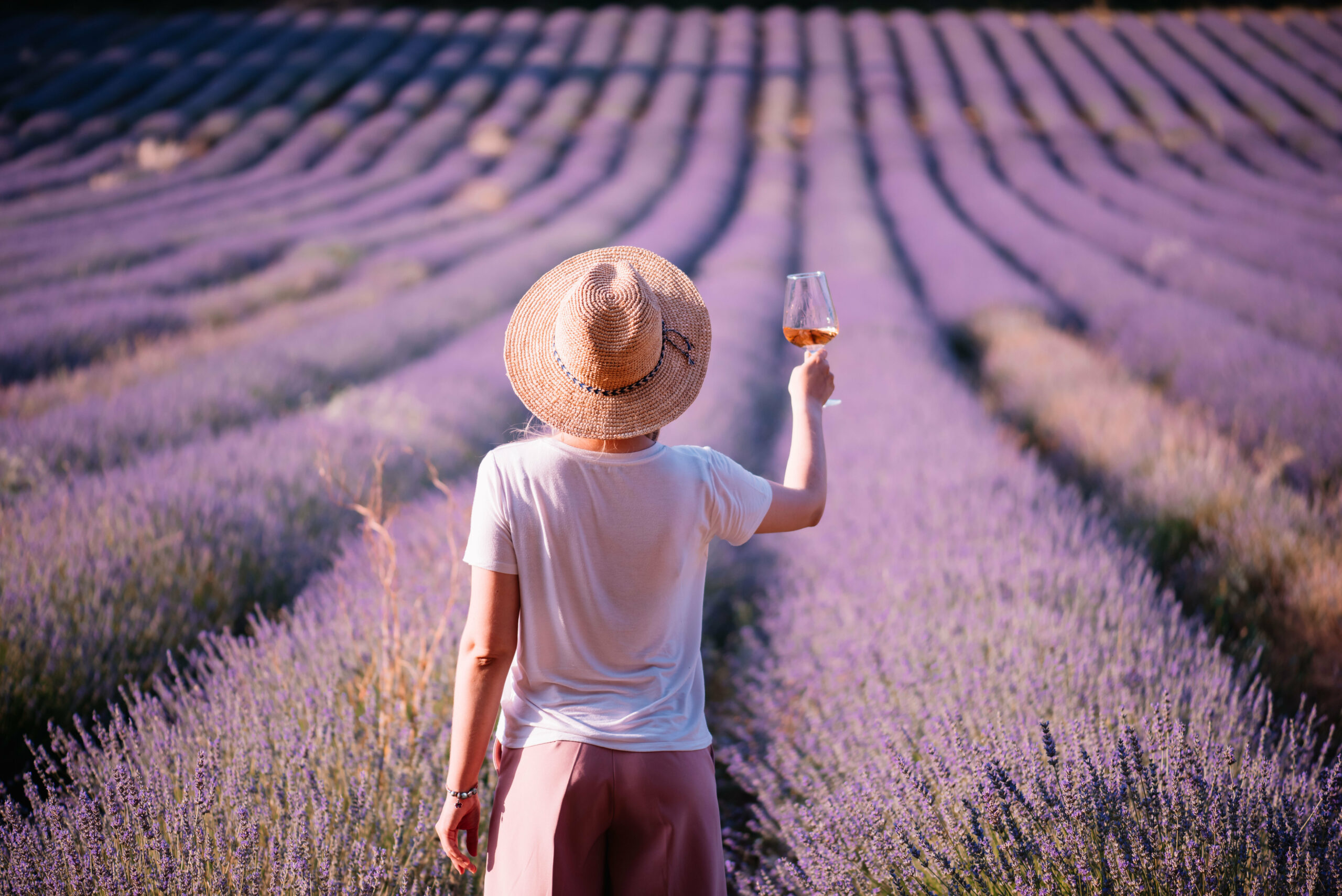 Wine tasting overlooking a lavender field in Provence