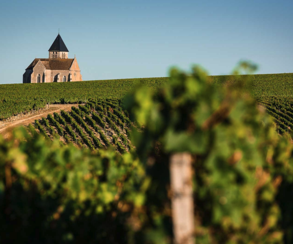 Scenic Burgundy vineyards known for world-renowned French wines