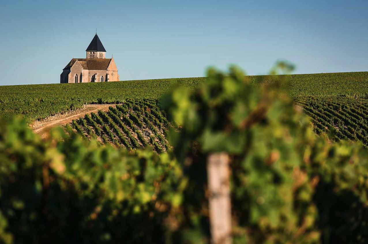Scenic Burgundy vineyards known for world-renowned French wines