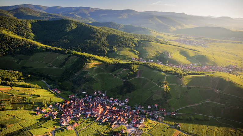 An exclusive glimpse into the wine heritage of Alsace, shaped by craftsmanship and timeless traditions.
