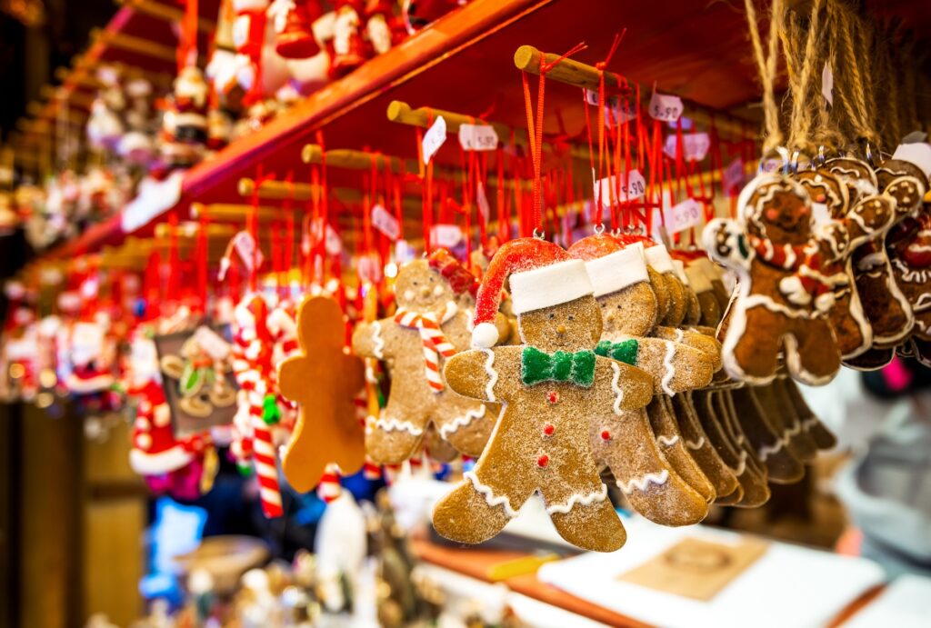The magic of the Christmas season comes alive through sparkling lights, festive stalls, and the timeless charm of an Alsatian Christmas market.