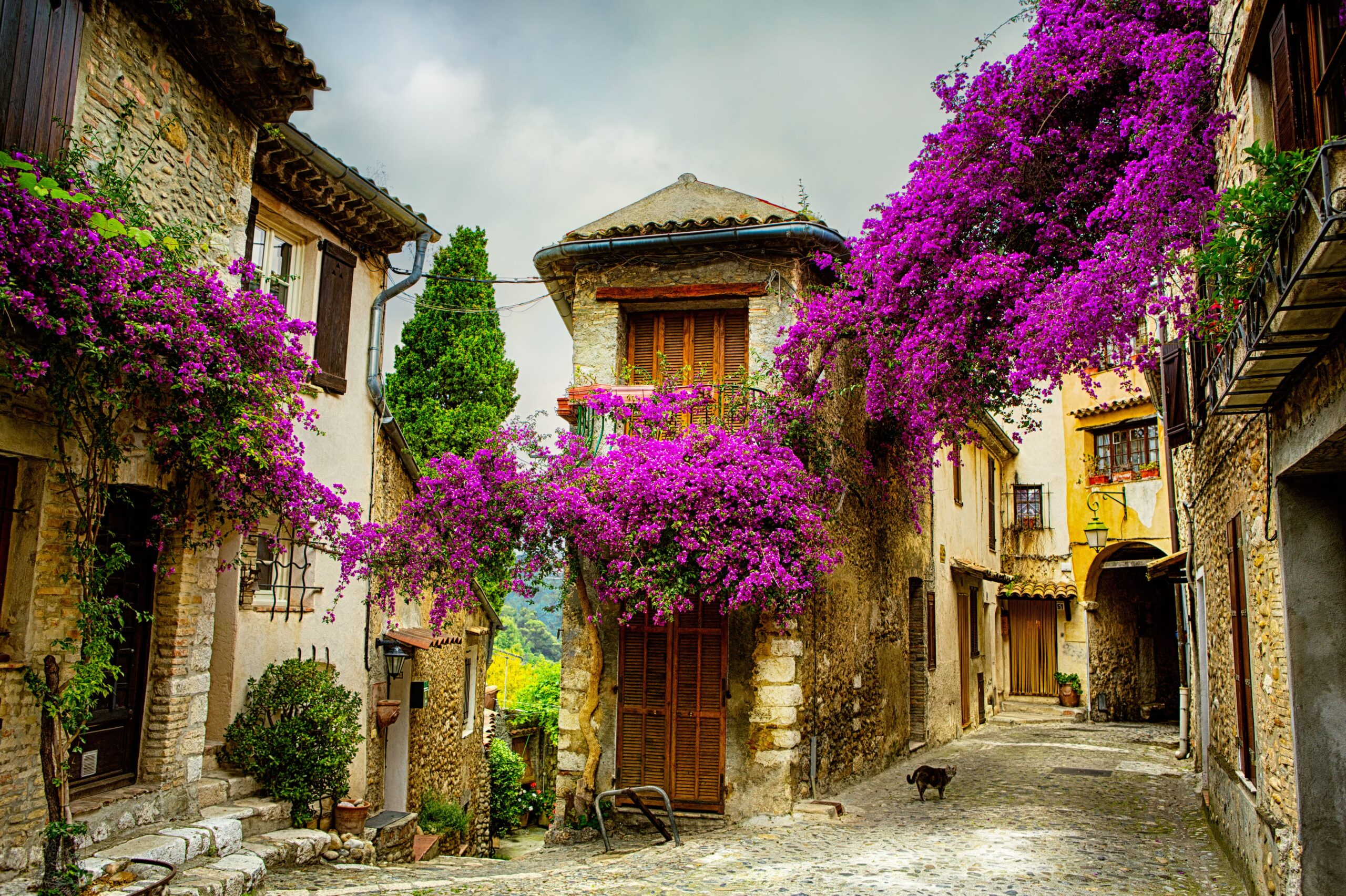 Provence and the Côte d'Azur